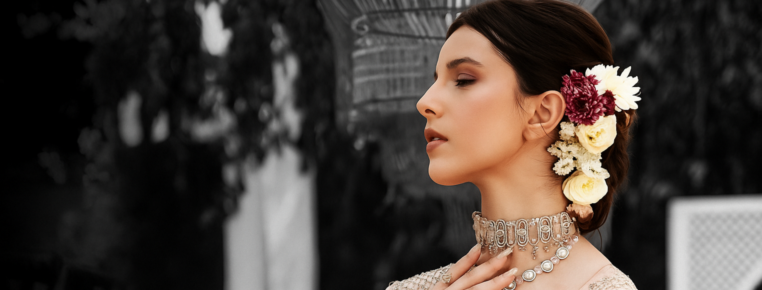 Wordpress Banner (1)